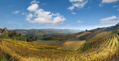 2019年意大利葡萄酒产量下降12%